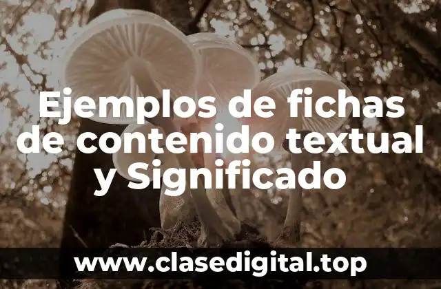 Ejemplos de fichas de contenido textual y Significado