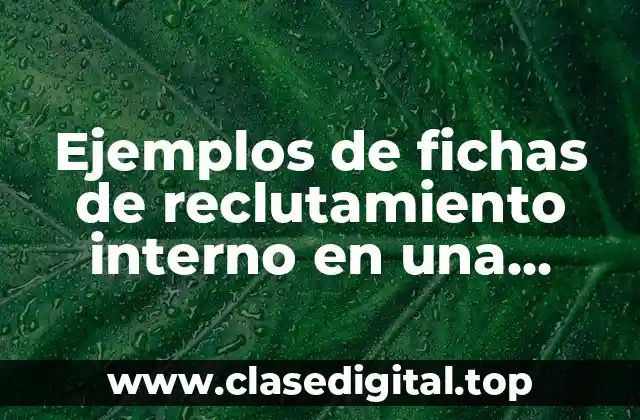 Ejemplos de fichas de reclutamiento interno en una empresa