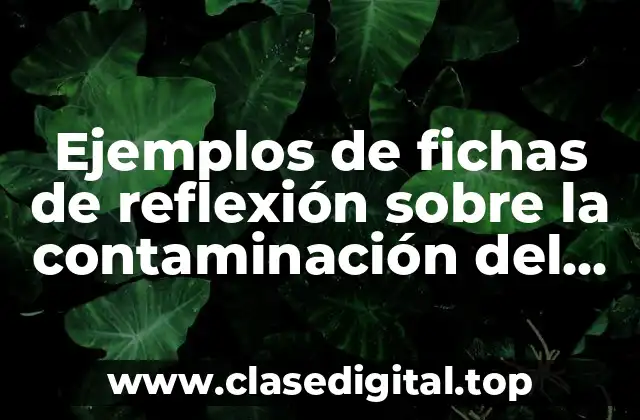 Ejemplos de fichas de reflexión sobre la contaminación del suelo
