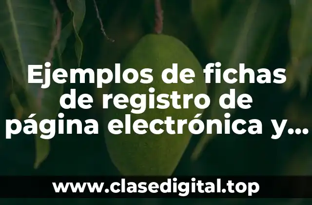 Ejemplos de fichas de registro de página electrónica y Significado