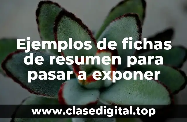 Ejemplos de fichas de resumen para pasar a exponer