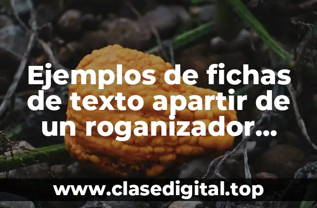 Ejemplos de fichas de texto apartir de un roganizador gráfico