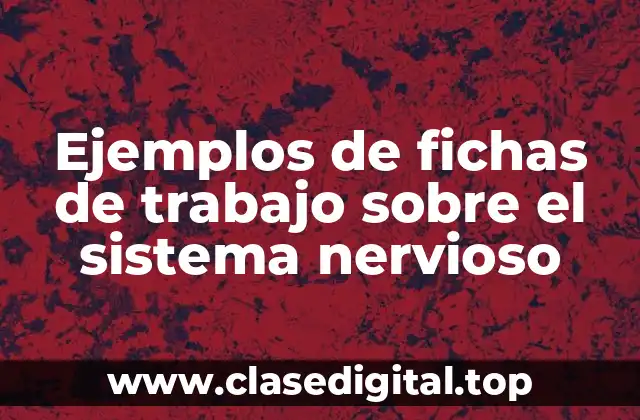 Ejemplos de fichas de trabajo sobre el sistema nervioso