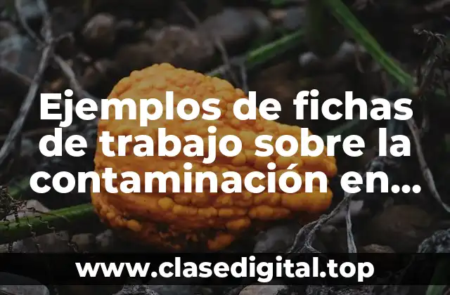 Ejemplos de fichas de trabajo sobre la contaminación en Oaxaca