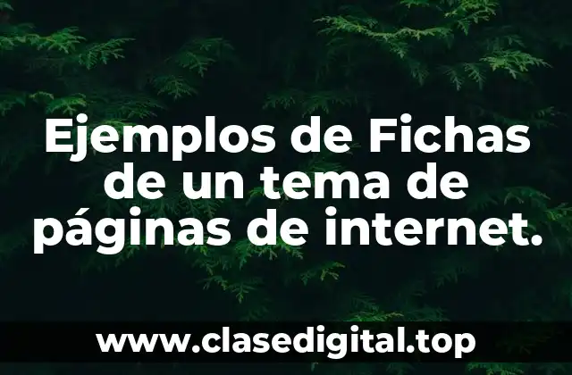 Ejemplos de Fichas de un tema de páginas de internet.
