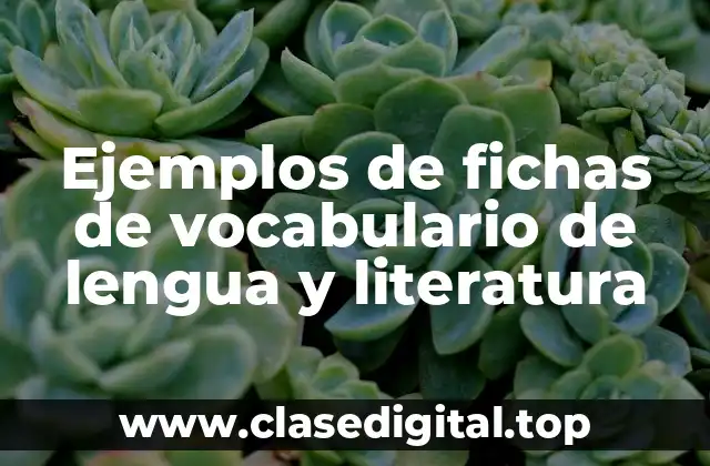 Ejemplos de fichas de vocabulario de lengua y literatura