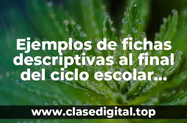 Ejemplos de fichas descriptivas al final del ciclo escolar primaria
