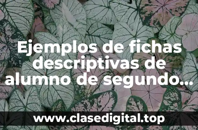 Ejemplos de fichas descriptivas de alumno de segundo grado