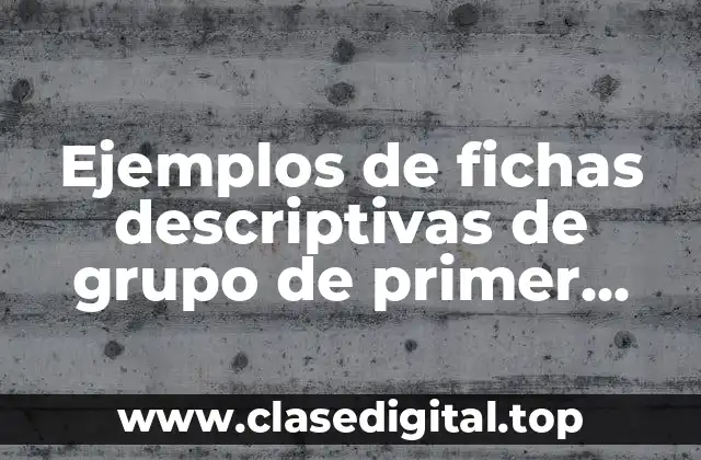 Ejemplos de fichas descriptivas de grupo de primer grado