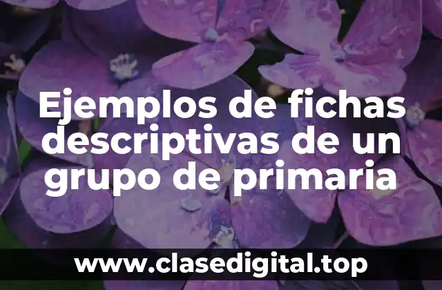 Ejemplos de fichas descriptivas de un grupo de primaria