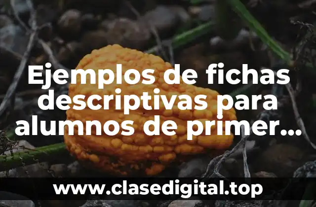 Ejemplos de fichas descriptivas para alumnos de primer grado y Significado
