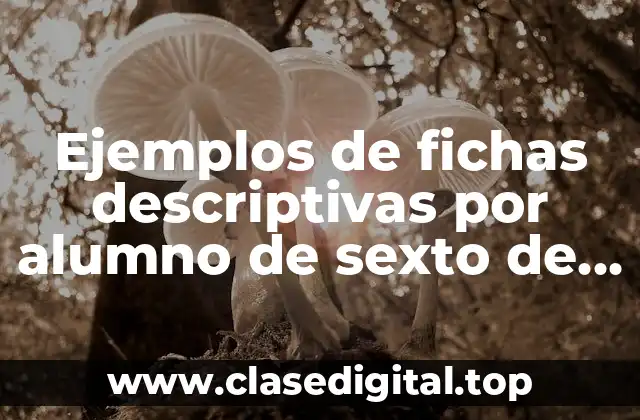 Ejemplos de fichas descriptivas por alumno de sexto de primaria