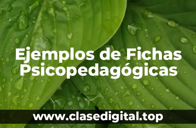 Ejemplos de Fichas Psicopedagógicas