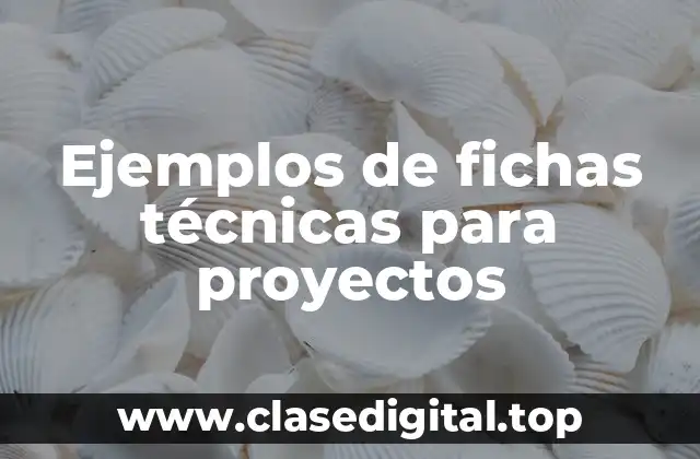 Ejemplos de fichas técnicas para proyectos