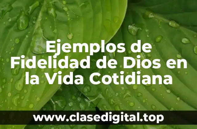 Ejemplos de Fidelidad de Dios en la Vida Cotidiana