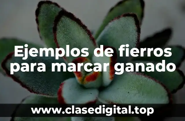 Ejemplos de fierros para marcar ganado