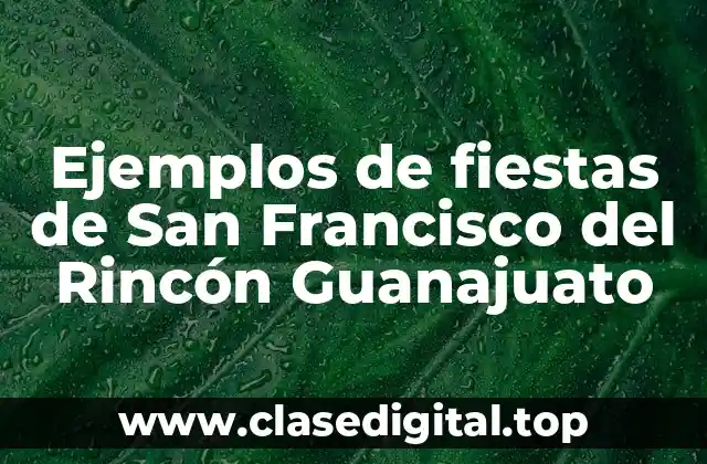 Ejemplos de fiestas de San Francisco del Rincón Guanajuato