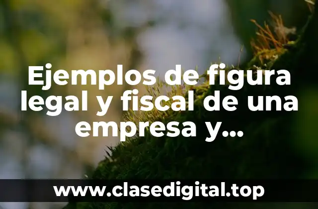 Ejemplos de figura legal y fiscal de una empresa y Significado