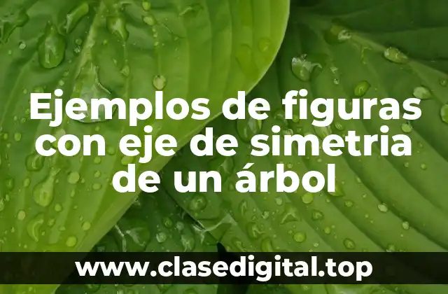 Ejemplos de figuras con eje de simetria de un árbol