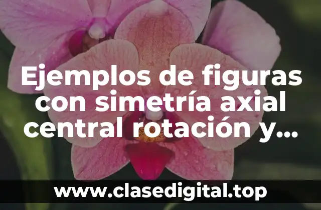 Ejemplos de figuras con simetría axial central rotación y traslación