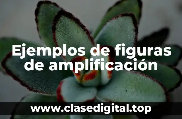 Ejemplos de figuras de amplificación