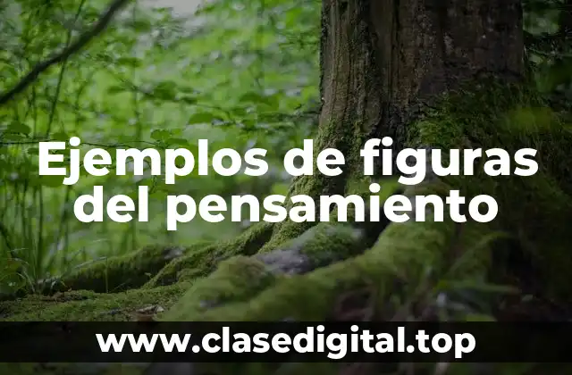 Ejemplos de figuras del pensamiento