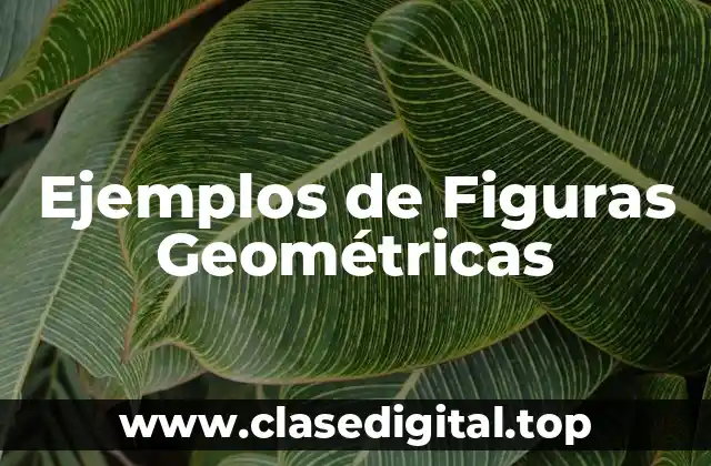 Ejemplos de Figuras Geométricas