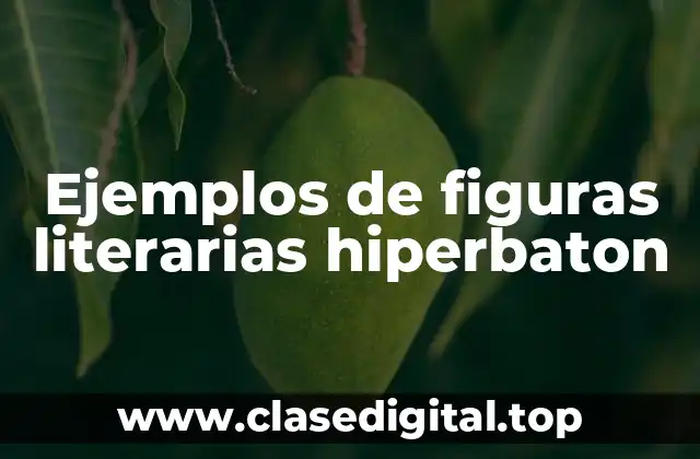 Ejemplos de figuras literarias hiperbaton
