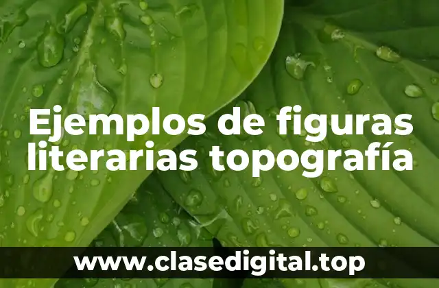 Ejemplos de figuras literarias topografía