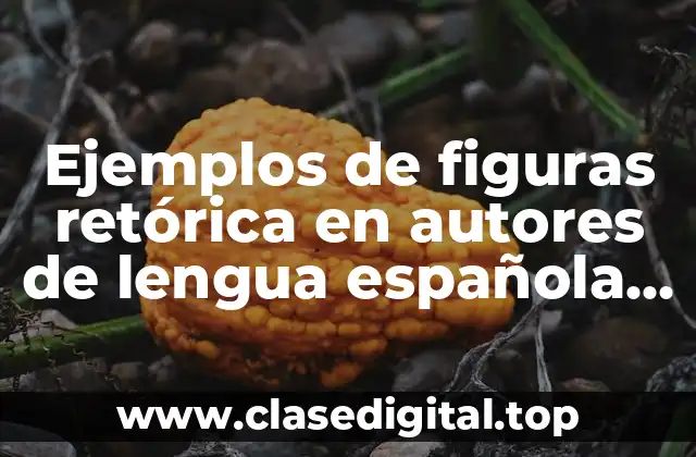 Ejemplos de figuras retórica en autores de lengua española y Significado