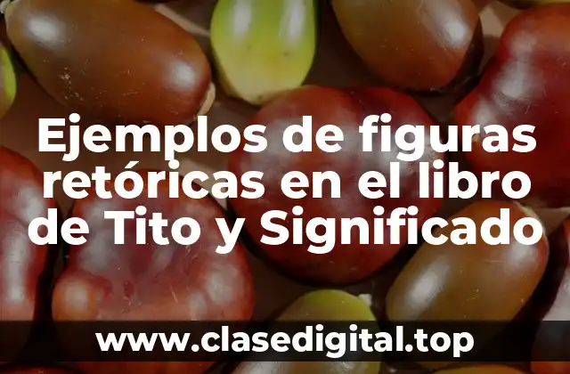 Ejemplos de figuras retóricas en el libro de Tito y Significado