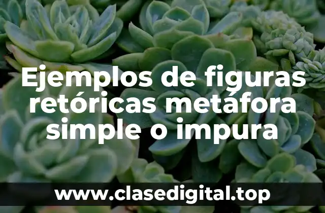 Ejemplos de figuras retóricas metáfora simple o impura