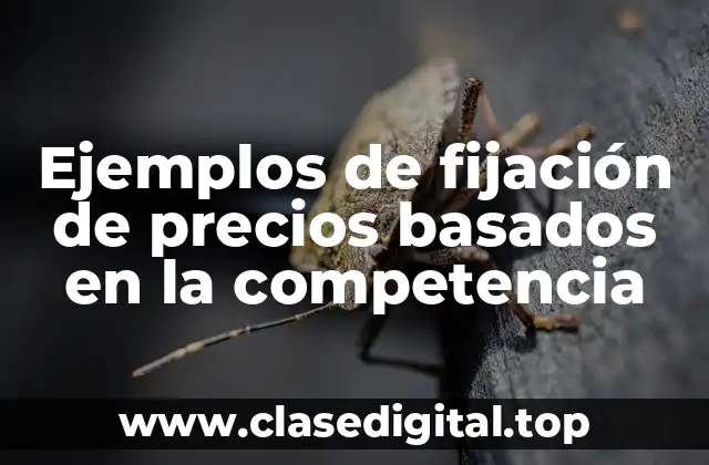Ejemplos de fijación de precios basados en la competencia