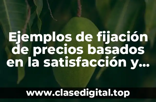 Ejemplos de fijación de precios basados en la satisfacción