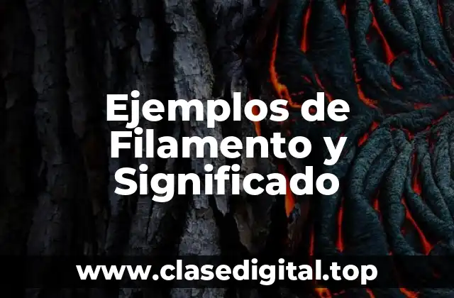 Ejemplos de Filamento y Significado