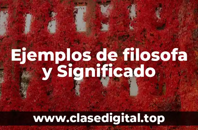 Ejemplos de filosofa y Significado
