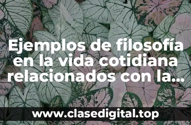 Ejemplos de filosofía en la vida cotidiana relacionados con la filosofia