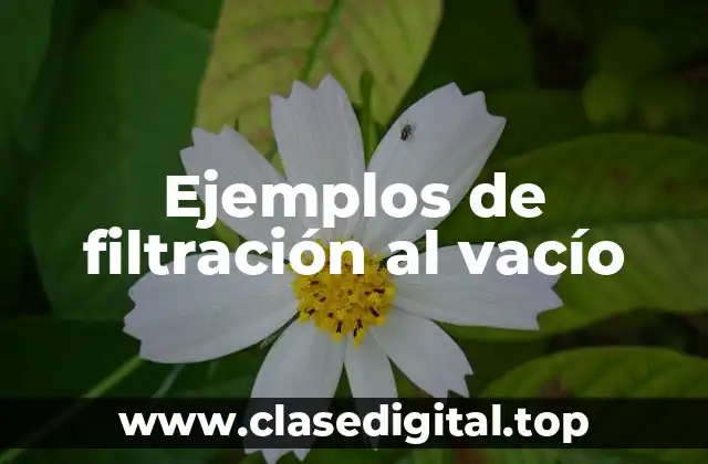 Ejemplos de filtración al vacío