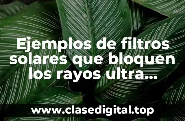 Ejemplos de filtros solares que bloquen los rayos ultra violeta