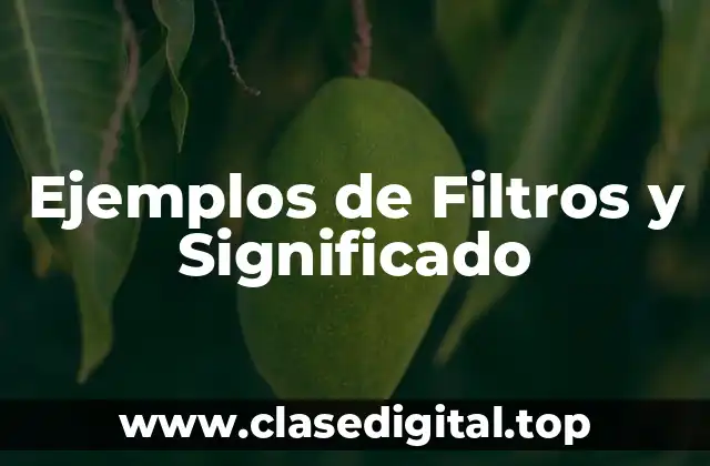 Ejemplos de Filtros y Significado
