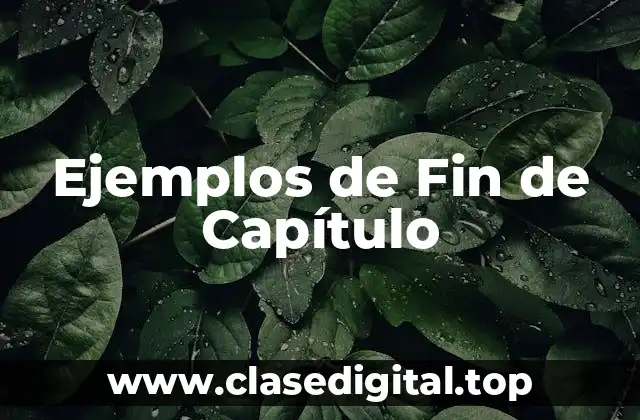 Ejemplos de Fin de Capítulo