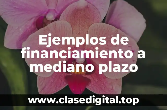 Ejemplos de financiamiento a mediano plazo