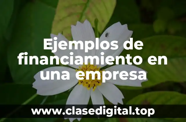 Ejemplos de financiamiento en una empresa
