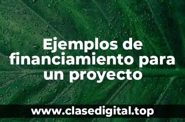 Ejemplos de financiamiento para un proyecto
