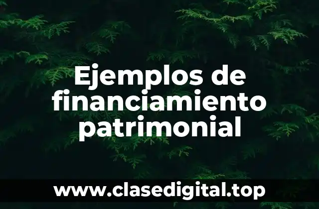 Ejemplos de financiamiento patrimonial