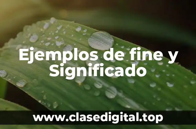 Ejemplos de fine y Significado