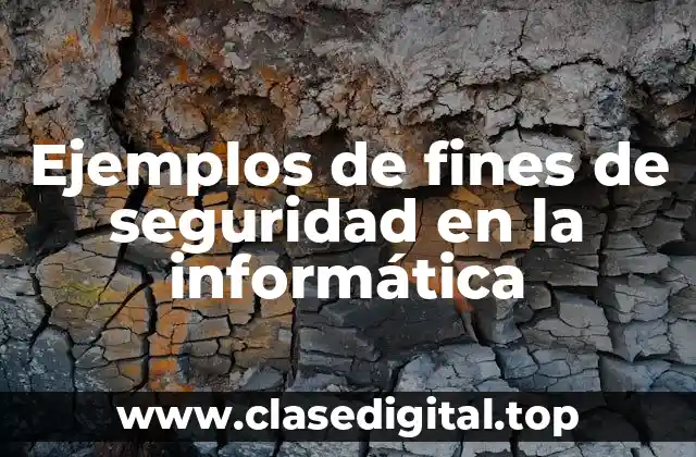 Ejemplos de fines de seguridad en la informática