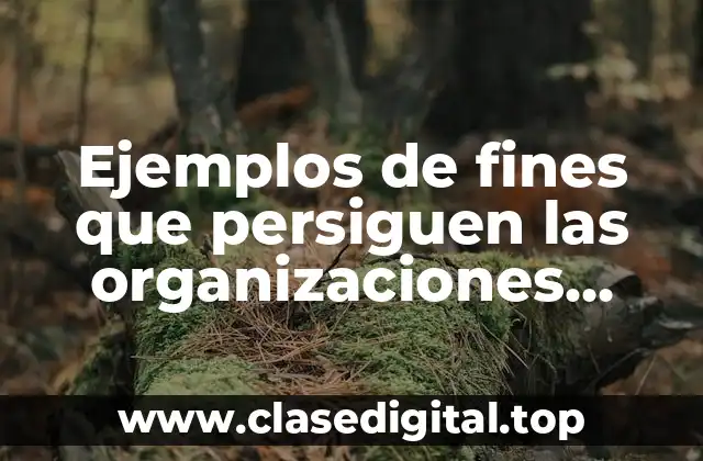 Ejemplos de fines que persiguen las organizaciones civiles