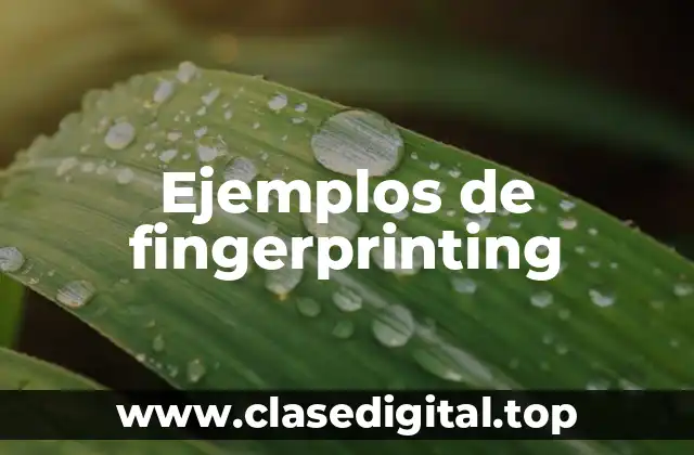 Ejemplos de fingerprinting