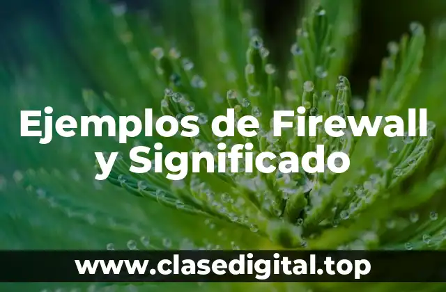 Ejemplos de Firewall